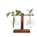 Vaso Hidropônico de Vidro com Suporte de Madeira – Decoração Elegante para Plantas