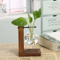 Vaso Hidropônico de Vidro com Suporte de Madeira – Decoração Elegante para Plantas