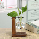 Vaso Hidropônico de Vidro com Suporte de Madeira – Decoração Elegante para Plantas
