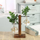 Vaso Hidropônico de Vidro com Suporte de Madeira – Decoração Elegante para Plantas