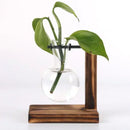 Vaso Hidropônico de Vidro com Suporte de Madeira – Decoração Elegante para Plantas