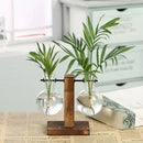 Vaso Hidropônico de Vidro com Suporte de Madeira – Decoração Elegante para Plantas