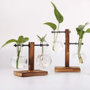 Vaso hidropônico de vidro com suporte de madeira para cultivo de plantas e decoração moderna de ambientes.