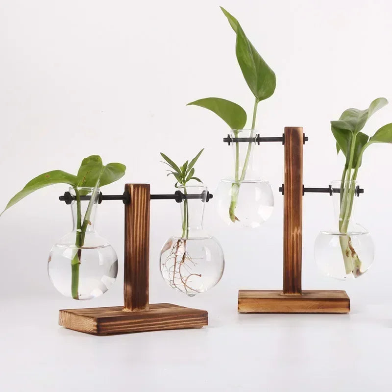 Vaso hidropônico de vidro com suporte de madeira para cultivo de plantas e decoração moderna de ambientes.